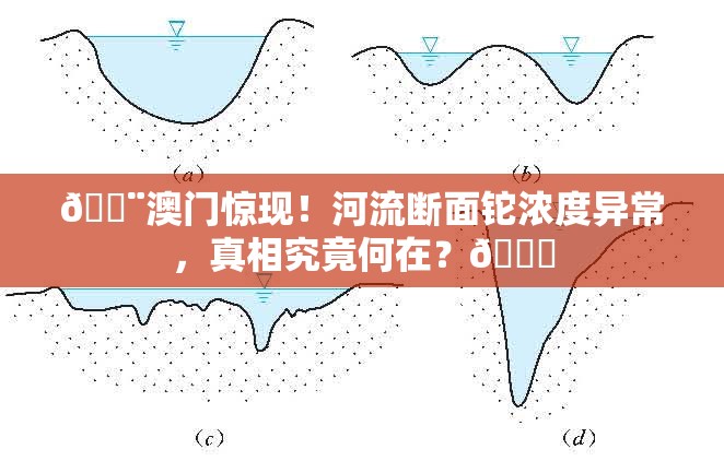 🚨澳门惊现！河流断面铊浓度异常，真相究竟何在？🔍